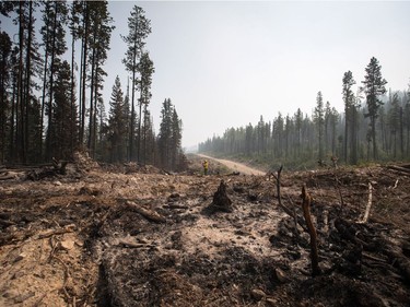 Firefighter Christian Garcia, of Mexico, directs water on hotspots in an area burned by the Shovel Lake wildfire near Endako, B.C., on Thursday, August 16, 2018. The Shovel Lake wildfire is more than 680 square kilometres in size and is the largest of the more than 500 fires burning across the province.