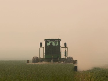 Smoke from wildfires burning in the area fills the air as a woman harvests a field of hay on a farm west of Vanderhoof, B.C., on Thursday, August 16, 2018.