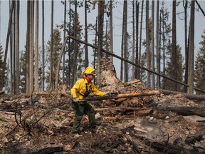Firefighter Christian Garcia of Mexico moves a tree to get at hotspots in an area burned by the Shovel Lake wildfire near Endako, B.C., on Thursday, Aug. 16. The Shovel Lake wildfire is more than 680 square kilometres in size and is the largest of the more than 500 fires burning across the province.