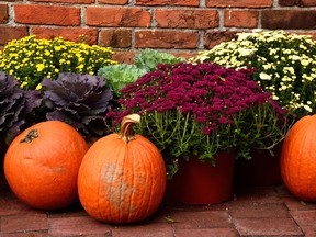 There is more to fall porch decor than pumpkins and mums.