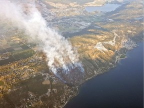 It’s that time of the year when the words "smoke taint" creep into the lexicon of wine producers who have been living on the edge of wildfires or under their smoke during the last half of the growing season.