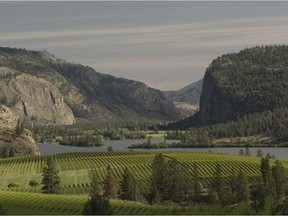 Blue Mountain Vineyard in Okanagan Falls.