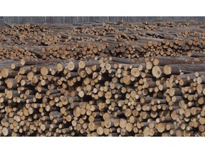 Softwood lumber is pictured at Tolko Industries in Heffley Creek, B.C., April, 1, 2018. Canadian forestry producer stock prices are down after an analyst downgrade and lower-than expected permits for the crucial U.S. housing sector.