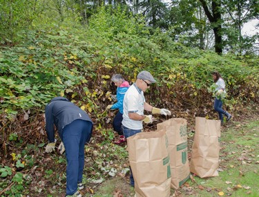 Volunteers also cleaned up invasive plants and helped in other activities to promote environmental stewardship.