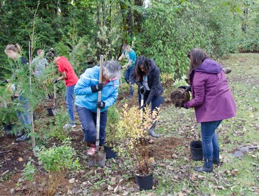 Volunteers planted trees with Friends of the Forest in Surrey on the weekend of Ismaili Civic Day in B.C.