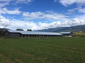 The Okanagan Riverbend Poultry farm in Grindrod, B.C.