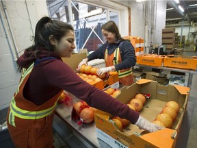 Galilea Espinoza (left) and Hayley Thomas sort grapefruit at Discovery Organics in Vancouver, BC Thursday, September 27, 2018.
