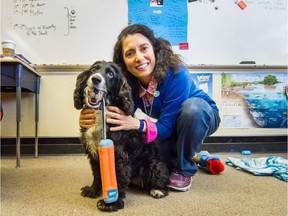 Victoria Shroff, one of Canada's longest-serving animal lawyers, with teacher Jane Perrella's spaniel Brontë at Henry Hudson Elementary School in Kits. Shroff has a pilot project to bring dogs into classrooms to teach empathy awareness and emotional literacy.