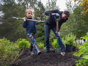 Volunteer Shafina Dhanani digs a hole to help plant trees at Lynnmouth Park in North Vancouver as part of World Rivers Day on Sunday.