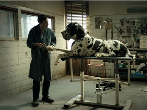 Cannes best actor award winner Marcello Fonte stars in director Matteo Garrone's new film Dogman. The film about a dog groomer with some criminal tendencies screens three times during this year's Vancouver International Film Festival.