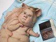 Teenage Metamophosis, silicon, fibreglass, human hair, found objects, by Patricia Piccinini, in Curious Imaginings, Patricia Hotel, Sept. 14 to Dec. 15, 2018.