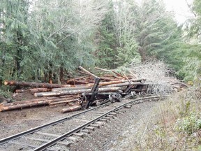 Aftermath of derailment: A faulty coupler, the mechanism that connects rail cars, caused 11 cars loaded with logs to detach from the spotting line and roll freely toward the community of Woss.