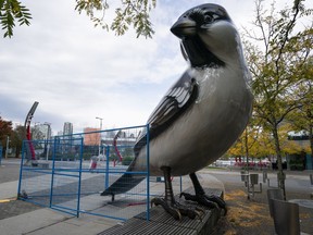 Blue construction fencing surrounds "The Birds" in the Olympic Village and undergoing repairs after suffering some damage in Vancouver, BC, October, 2, 2018.