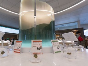 Cannabis bud sits in sniffers inside the B.C. Cannabis Store in Kamloops.