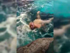 A man got naked and jumped into the shark tank at Toronto's Ripley's aquarium on Friday night.