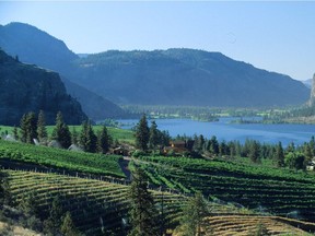 The rush for vineyard land will continue across British Columbia, as the traditional supplies run out and producers stuck in warm climates begin to look north to protect their futures from rising temperatures.