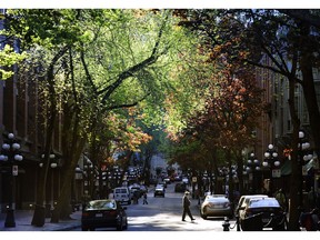 FILE PHOTO: Late evening sun lights up tree canopies covering Vancouver's Gastown on May 17, 2011.