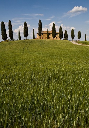 Classic Tuscan landscape near Pienza.