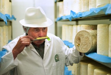 Cheese grader at work, Wensleydale Creamery, Hawes.