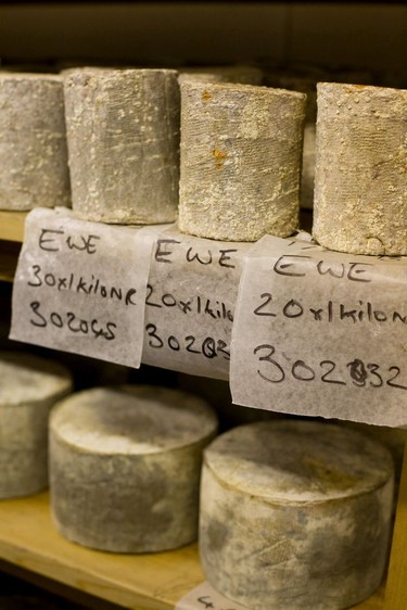 Rows of cloth-bound cheeses inside the ageing room at The Swaledale Cheese Company.