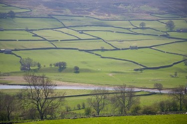 The River Swale and drystone wall country, just outside Reeth.