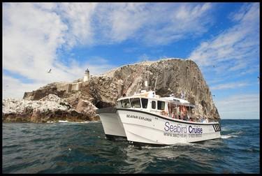 Seabird catamaran cruise to Bass Rock.