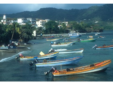 The colourful fishing village of Saint Luce on the south coast of Martinique.