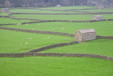 Classic Yorkshire Dales scenery in Upper Swaledale.