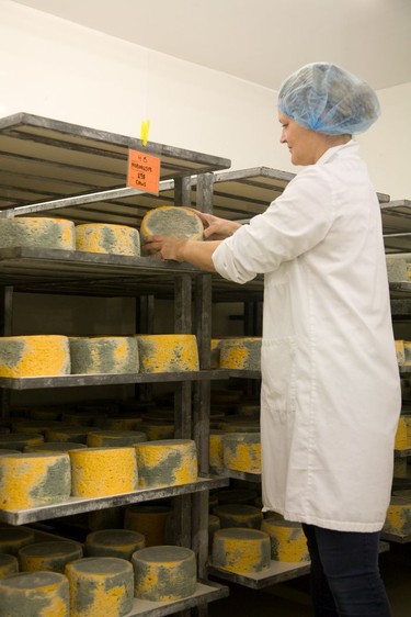 In the cheese ageing room at Shepherds Purse.