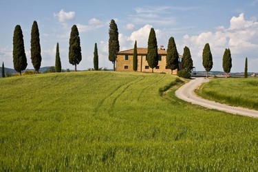Classic Tuscan landscape near Pienza.