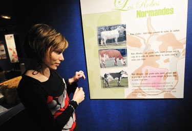 Manager Elisa Leveau talks about the importance of the Normande breed of cattle on a tour of the Graindorge cheese fabriqué.