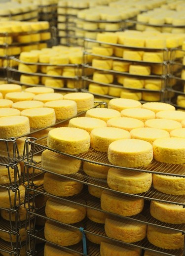 Livarot cheeses inside the Graindorge cheese fabriqué awaiting the next stage of production.