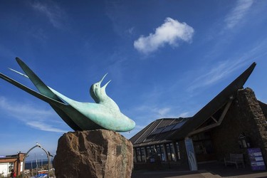 Scottish Seabird Centre – North Berwick.