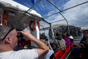 Seabird catamaran cruise to Bass Rock.