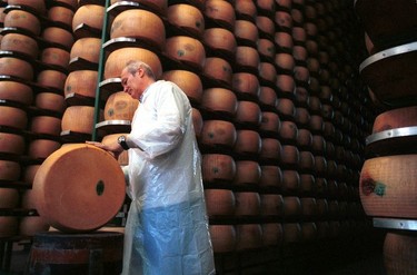 In the half-light of a cheese house near Parma, a Consortium master checks the progress of the Parmesan cheese for aging.