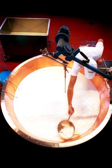 The beginnings of Parmesan cheese in a cheese house near Parma. Milk from the area is skimmed and then heated in big copper vats and mixed by a giant whisk.