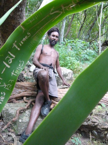 On the journey up Petit Piton, a guide pauses by a leaf marked by walkers.