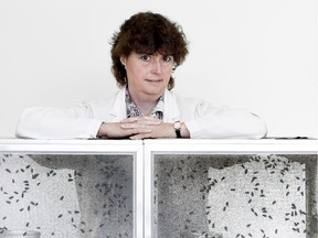 Simon Fraser University criminology professor and entomologist Gail Anderson. Anderson used her expert knowledge of how blowflies infest a corpse to help exonerate an American woman locked up for nearly 17 years for a murder she did not commit.