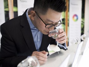 File: Executive director of the cannabis division of B.C. liquor distribution branch, Michael Tan, sniffs a cannabis inside British Columbia's first legal B.C. cannabis store in Kamloops, B.C. Wednesday, Oct. 17, 2018.