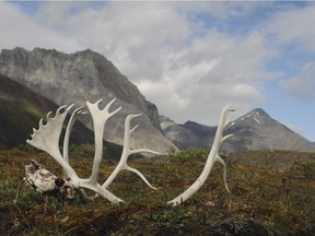 Fifteen tribal nations in southeast Alaska have
petitioned an international commission for human rights for help in influencing the Canadian government to take action against six mines
in British Columbia.