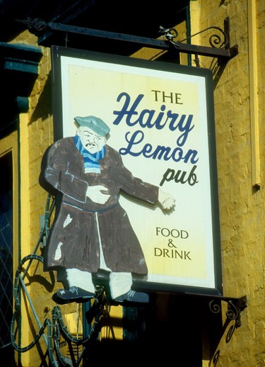 The Hairy Lemon, one of Dublin's eight-hundred or so pubs (ask any Dubliner and you will get a different answer).