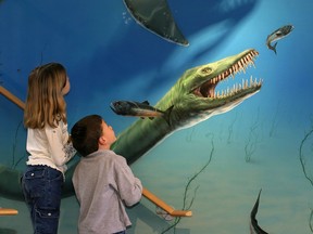 British Columbians who haven't yet marked their
ballots in a referendum on electoral reform could distract
themselves a little longer by voting for an official fossil symbol
for the province. Children delight in the dramatic image of the 12-metre Elasmosaur marine reptile, a 60 million-year-old creature whose actual skeleton rests at the Courtenay Museum.