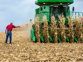 Farmer Bill Sorg (L) works his fields in Hastings, Minnesota, on October 3, 2018. - US President Donald Trump has visited Minnesota twice in less than six months. Political strategists are parachuting in from Washington. The writing is on the wall: this is a critical election battleground state. It is also a state where a much heralded Democratic "blue wave" could crest, or peter out, in the midterms.