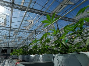 Emerald Plants Health Source aims to break ground in Merritt, B.C. for its new facility in the second quarter of 2019 and plans to start production in the second or third quarter of the following year.