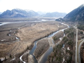 Large parts of Herrling Island have been cleared for farming.