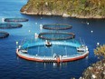 File photo of a Cermaq fish farm.