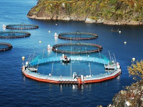 File photo of a Cermaq fish farm.