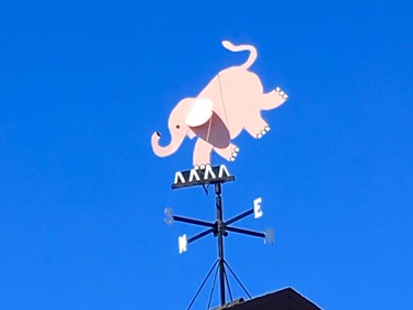 This humorous weathervane tops the Pink Elephant restaurant in Boca Grande on Gasparilla Island.