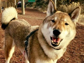 Mura, owned by the mayor of Attleboro, Mass., during her road trip across the U.S. and to her birthplace on Vancouver Island.