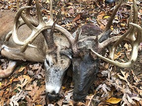 Bob Long shot a a buck that had another deer’s decomposing head still attached to its antlers. (Facebook/Kentucky Department of Fish and Wildlife Resources)